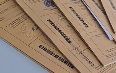 Customs clearance demands – we are here for you!