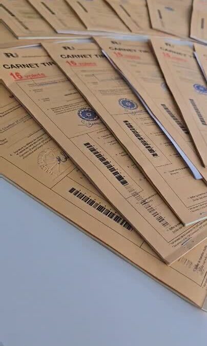 Customs clearance demands – we are here for you!